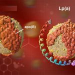 Lp(a) – Najważniejsze badanie cholesterolu, o którym prawdopodobnie nigdy nie słyszałeś